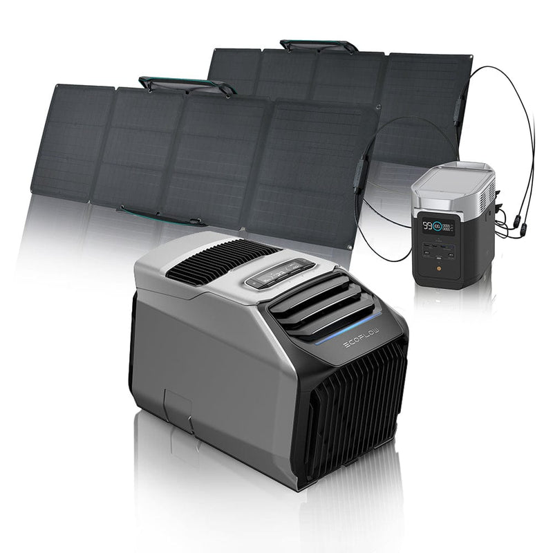 EcoFlow WAVE 2 Portable AC + DELTA 2 + 110W Portable Solar Panel